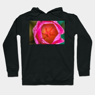 Top view of a tulip Hoodie